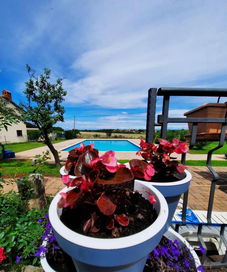 Moratto'S Apartments Umag Exterior foto